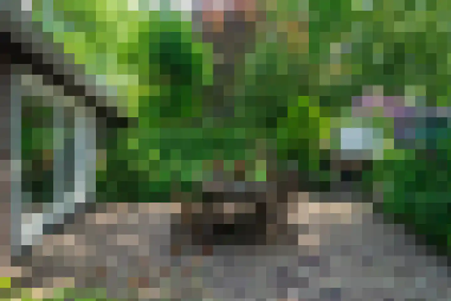 1e Pallertweg 24 Bourtange thumbnail 76