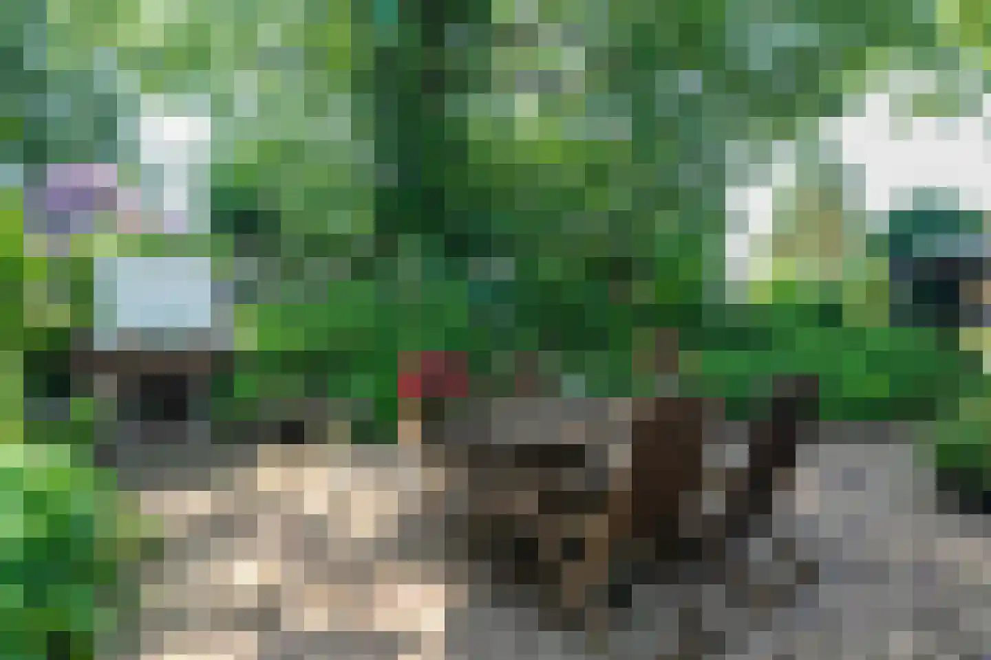 1e Pallertweg 24 Bourtange thumbnail 77