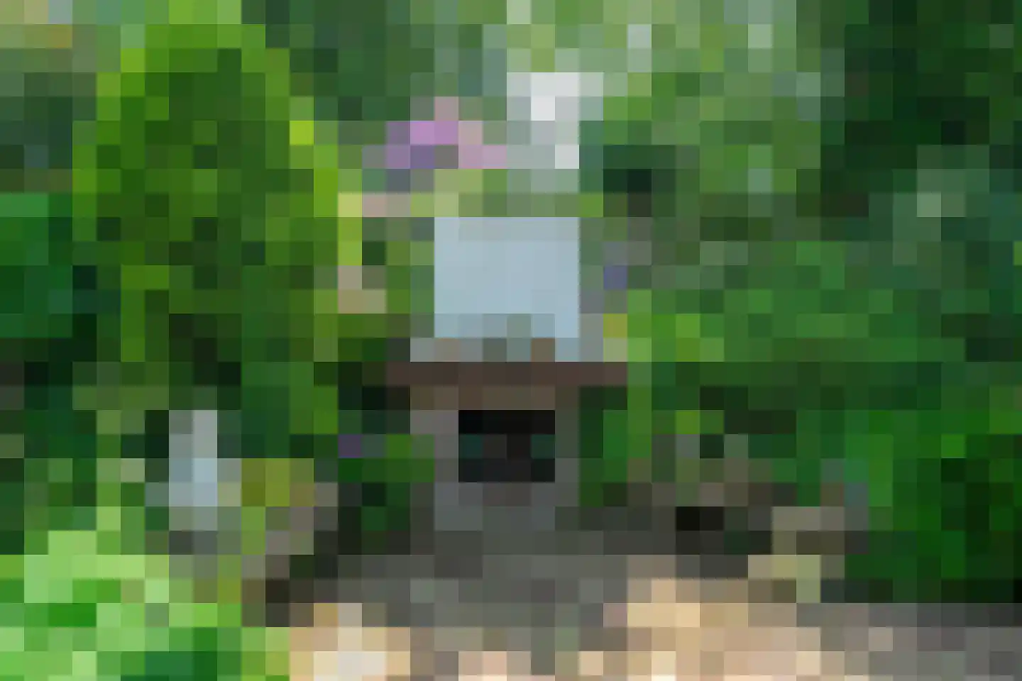 1e Pallertweg 24 Bourtange thumbnail 78