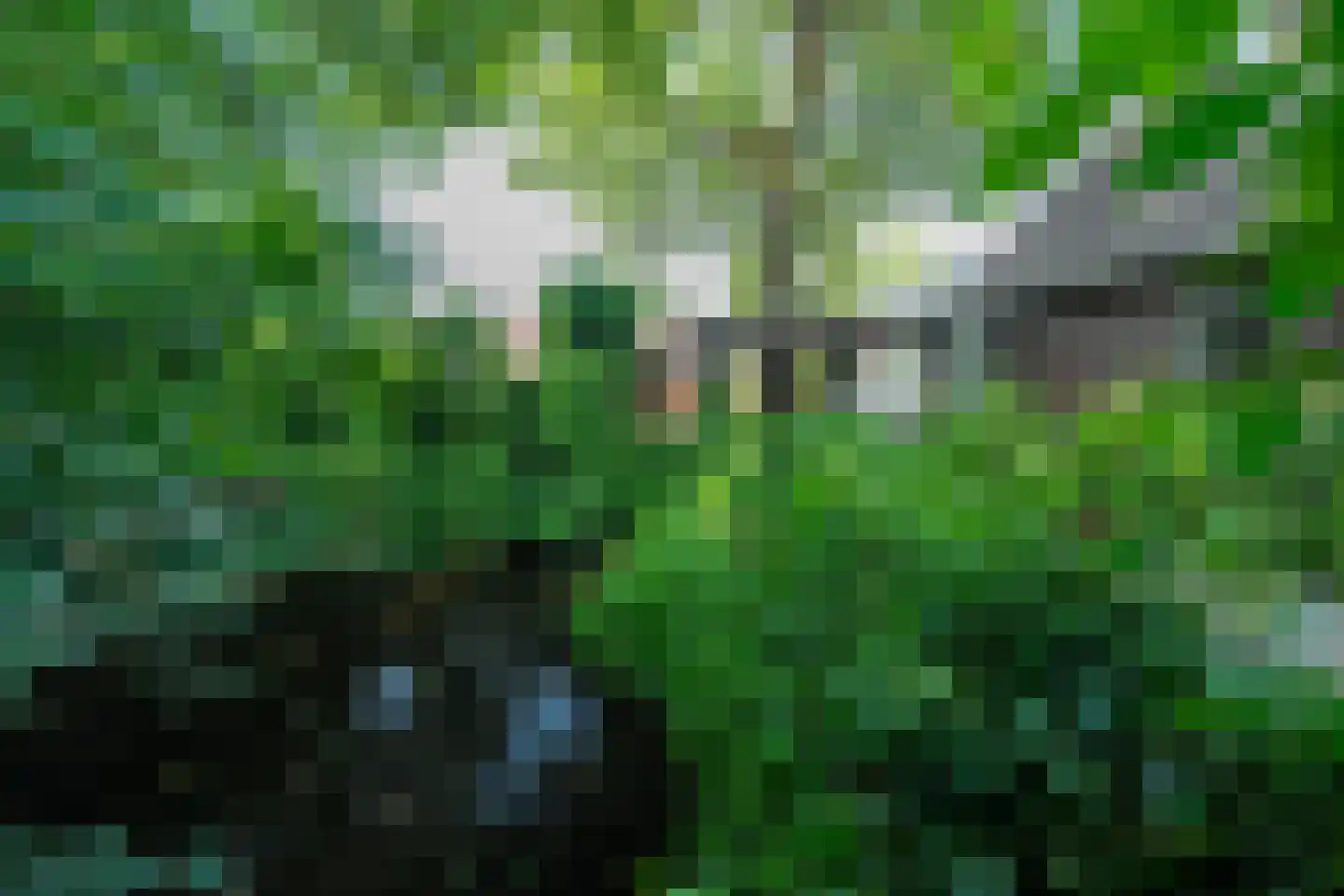 1e Pallertweg 24 Bourtange thumbnail 79
