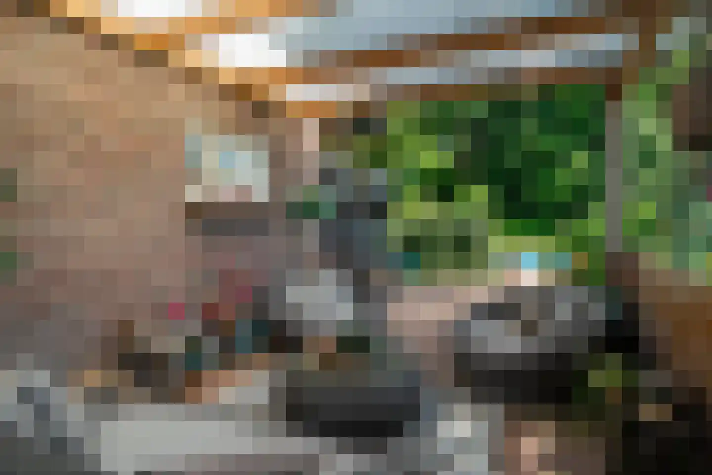 1e Pallertweg 24 Bourtange thumbnail 85