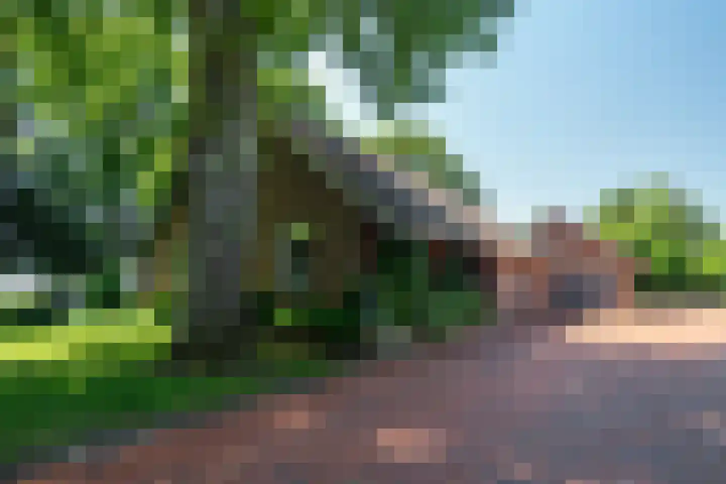 1e Pallertweg 24 Bourtange thumbnail 9
