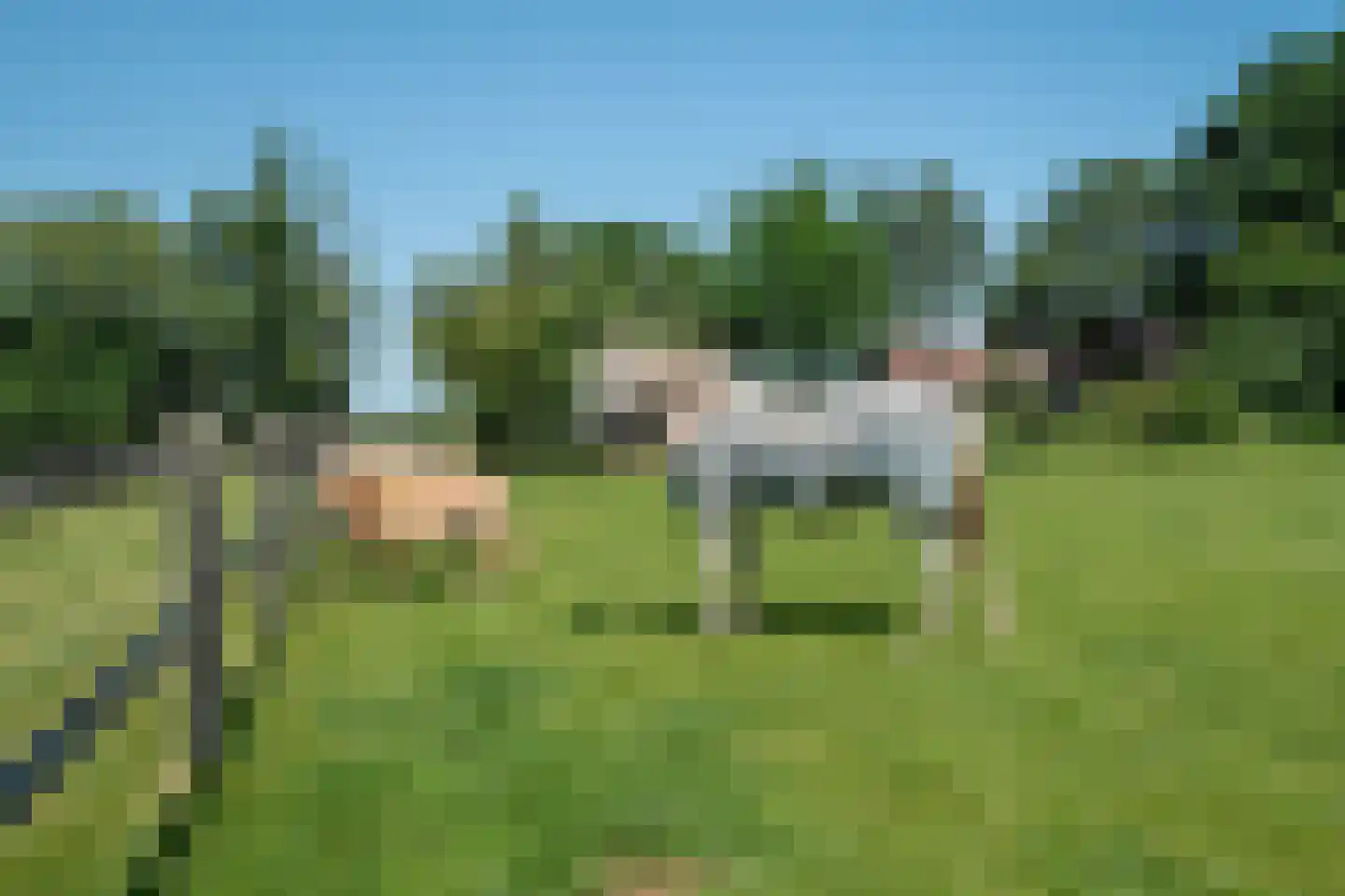 1e Pallertweg 24 Bourtange thumbnail 92