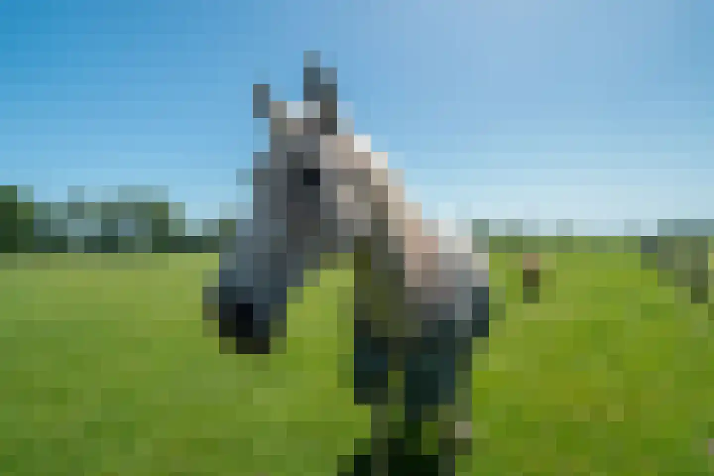 1e Pallertweg 24 Bourtange thumbnail 93