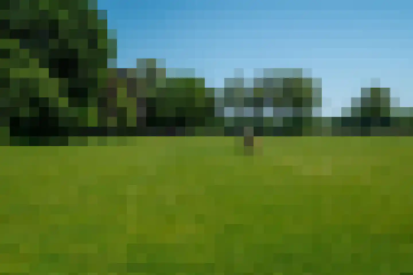 1e Pallertweg 24 Bourtange thumbnail 94