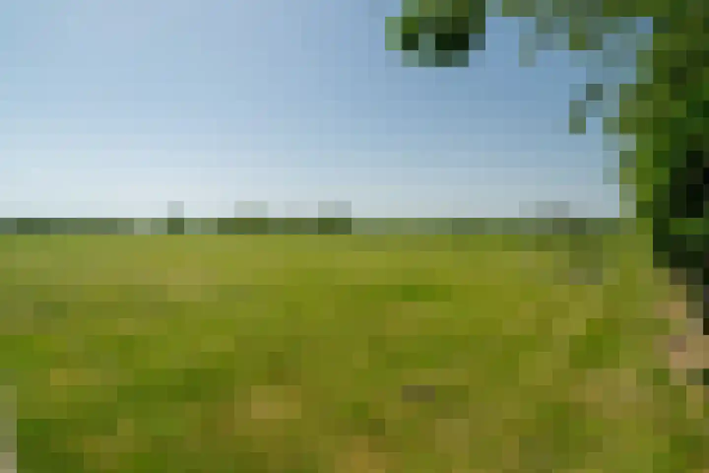 1e Pallertweg 24 Bourtange thumbnail 95