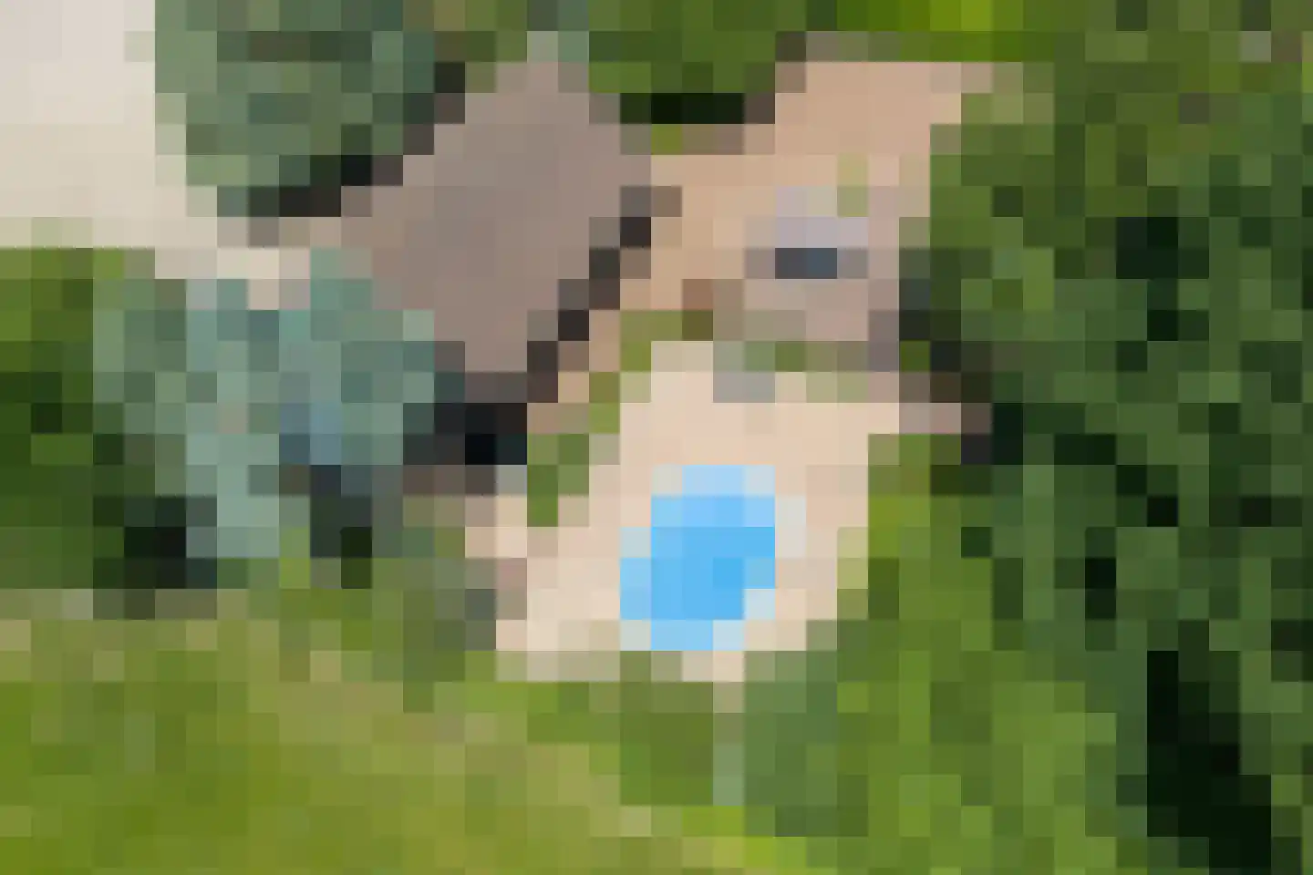 1e Pallertweg 24 Bourtange thumbnail 99
