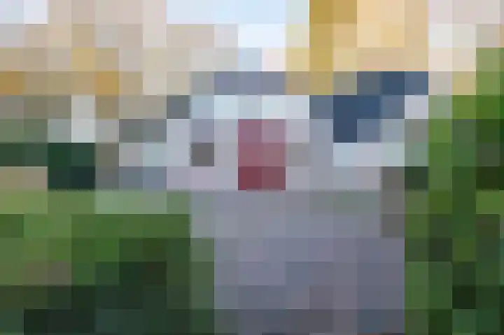 1e Pallertweg 27 Bourtange thumbnail 12