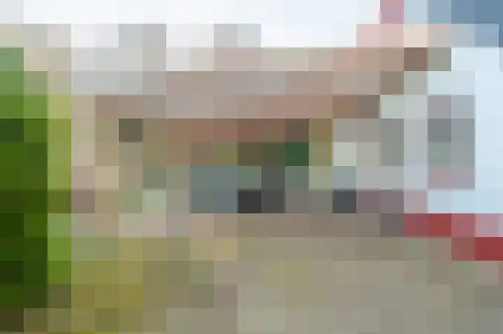 1e Pallertweg 27 Bourtange thumbnail 13