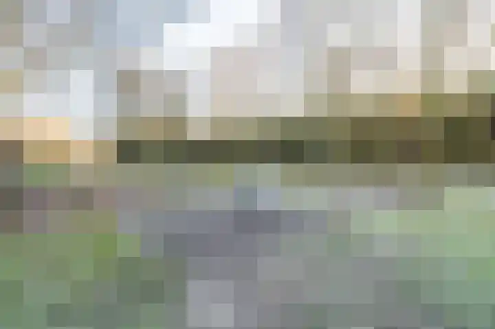 1e Pallertweg 27 Bourtange thumbnail 20