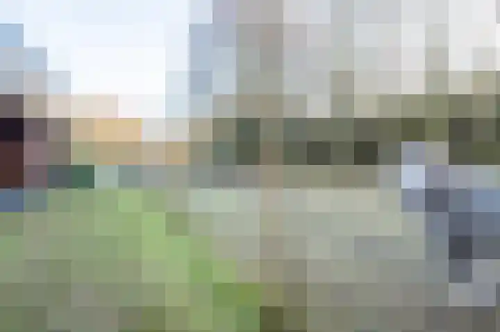 1e Pallertweg 27 Bourtange thumbnail 22