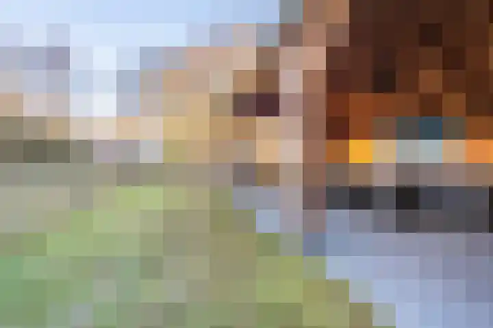 1e Pallertweg 27 Bourtange thumbnail 24