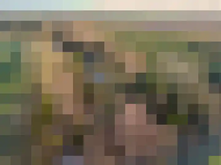 1e Pallertweg 27 Bourtange thumbnail 4