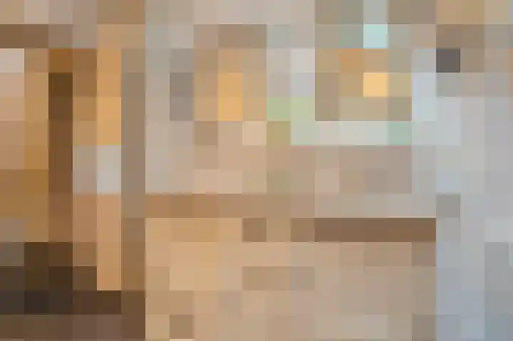 1e Pallertweg 27 Bourtange thumbnail 41