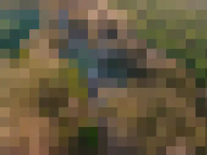 1e Pallertweg 27 Bourtange thumbnail 5