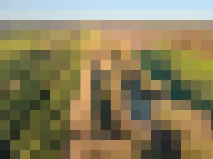 1e Pallertweg 27 Bourtange thumbnail 6