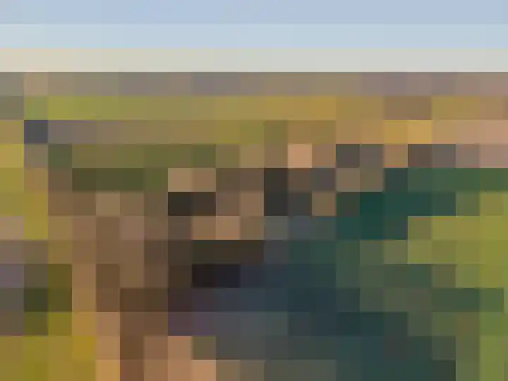 1e Pallertweg 27 Bourtange thumbnail 7
