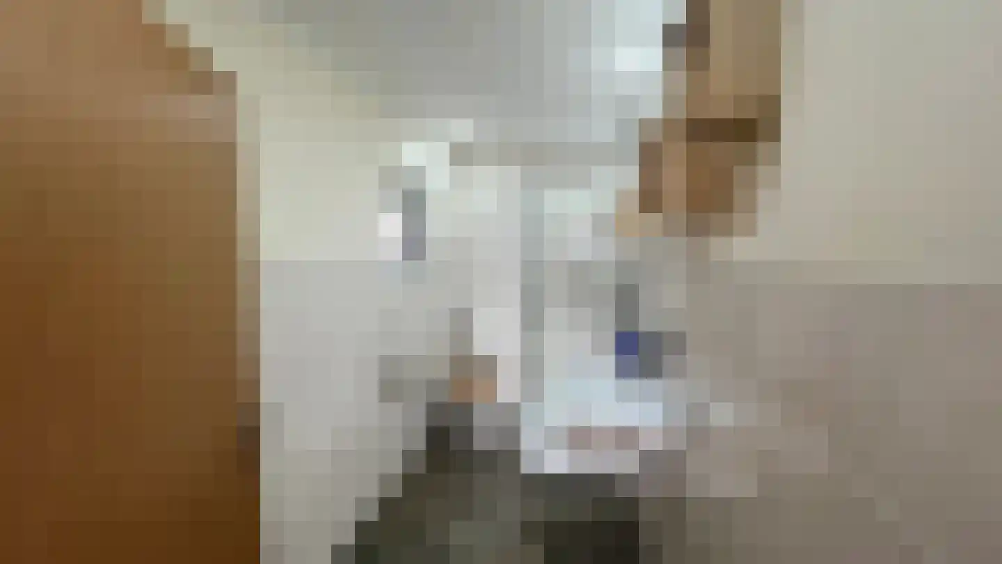 1e Pallertweg 36 Bourtange thumbnail 11
