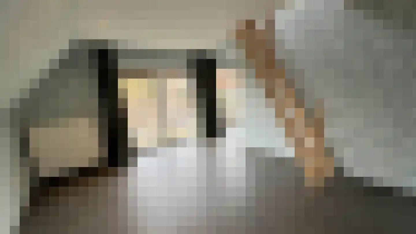 1e Pallertweg 36 Bourtange thumbnail 18