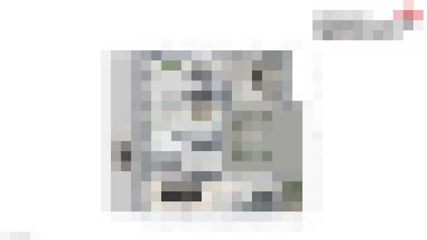 1e Pallertweg 36 Bourtange thumbnail 22
