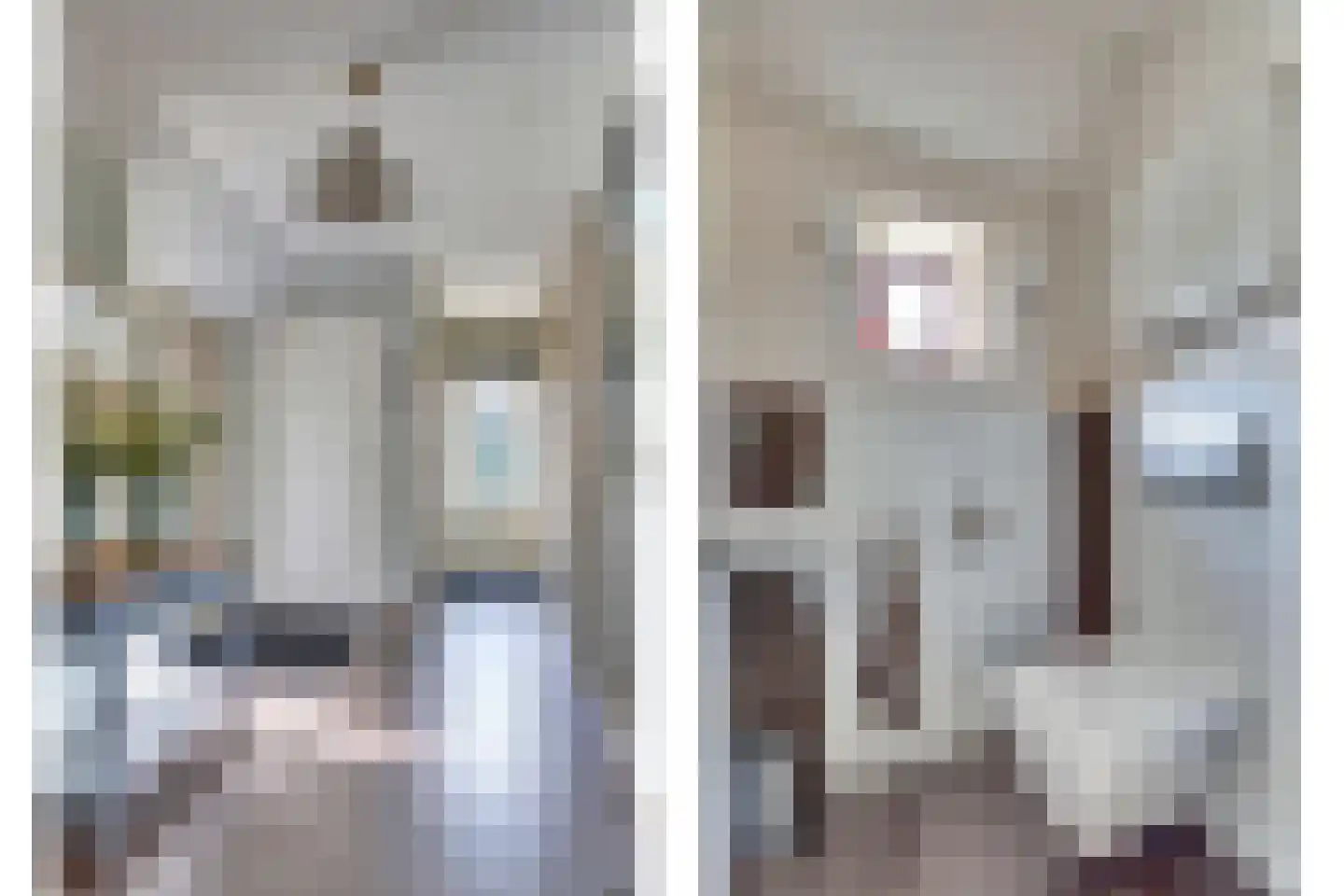 1e Pallertweg 4 Bourtange thumbnail 10