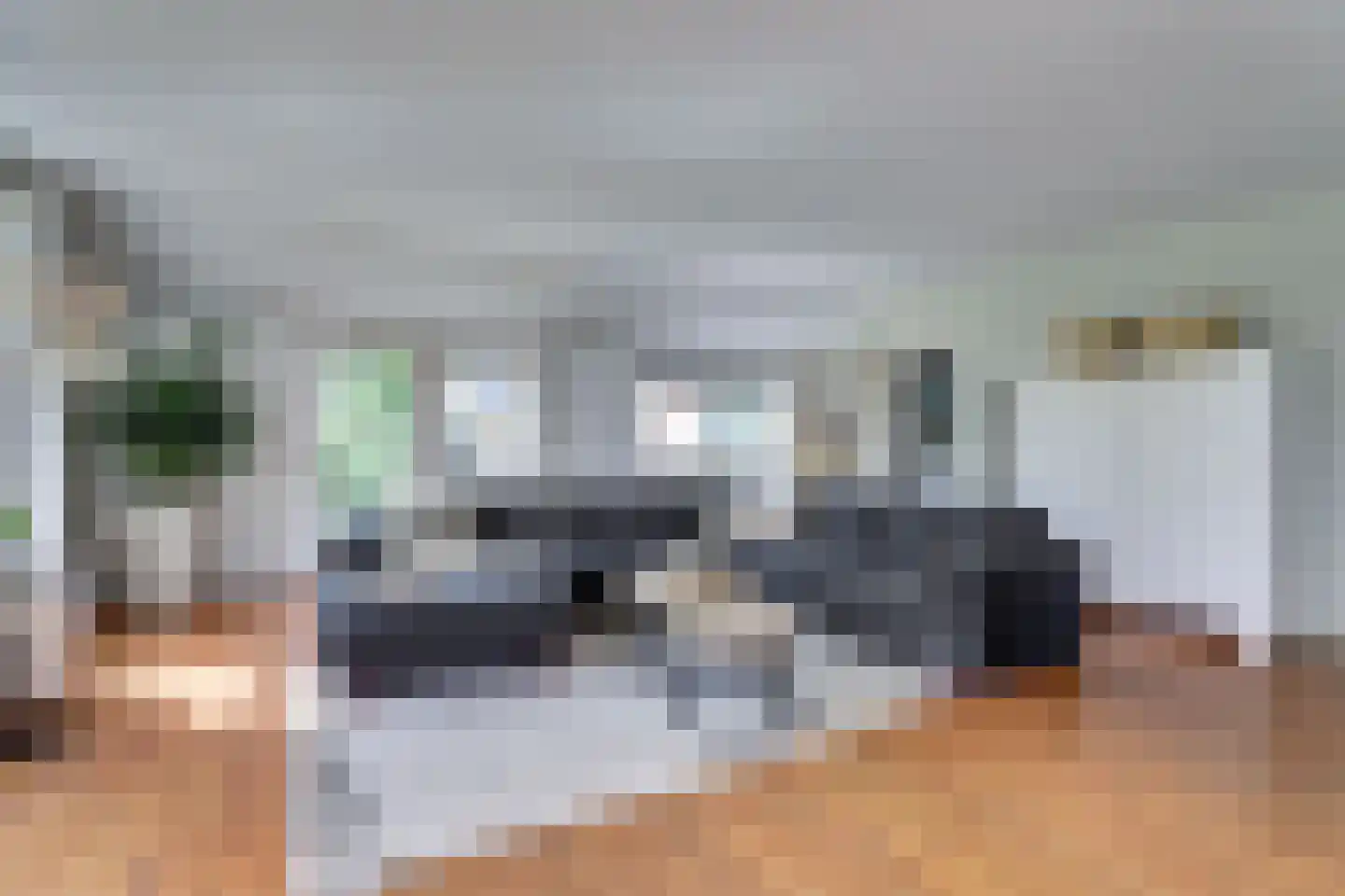 1e Pallertweg 4 Bourtange thumbnail 12