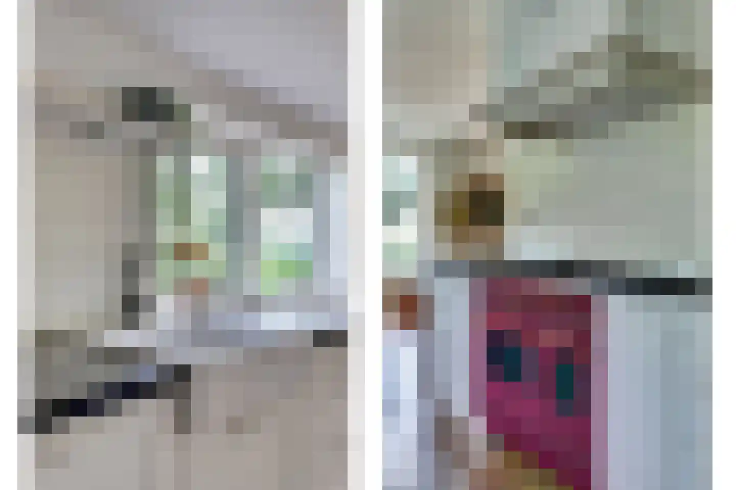 1e Pallertweg 4 Bourtange thumbnail 22