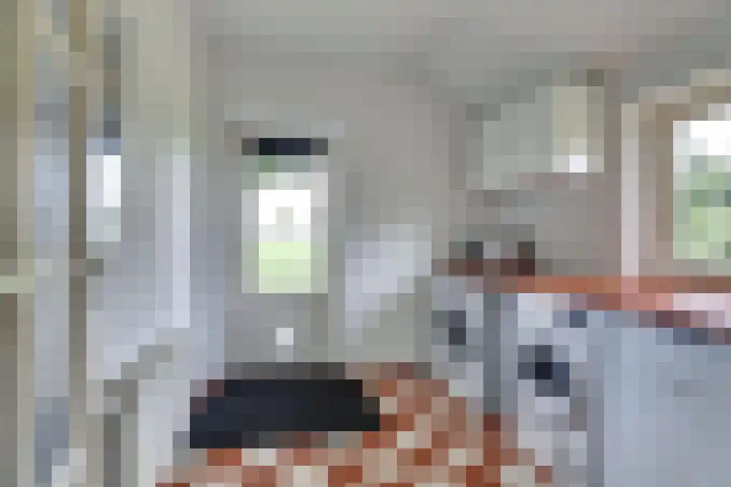 1e Pallertweg 4 Bourtange thumbnail 23