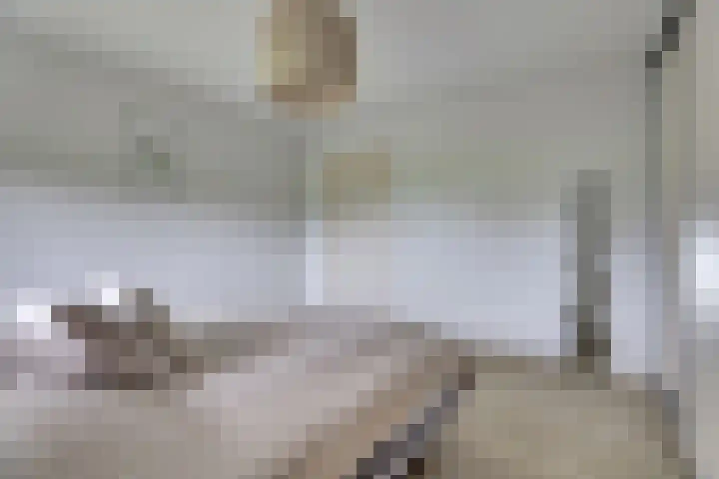 1e Pallertweg 4 Bourtange thumbnail 24