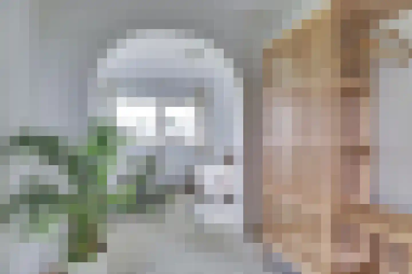 1e Pallertweg 4 Bourtange thumbnail 25