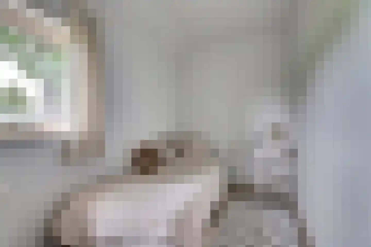 1e Pallertweg 4 Bourtange thumbnail 26
