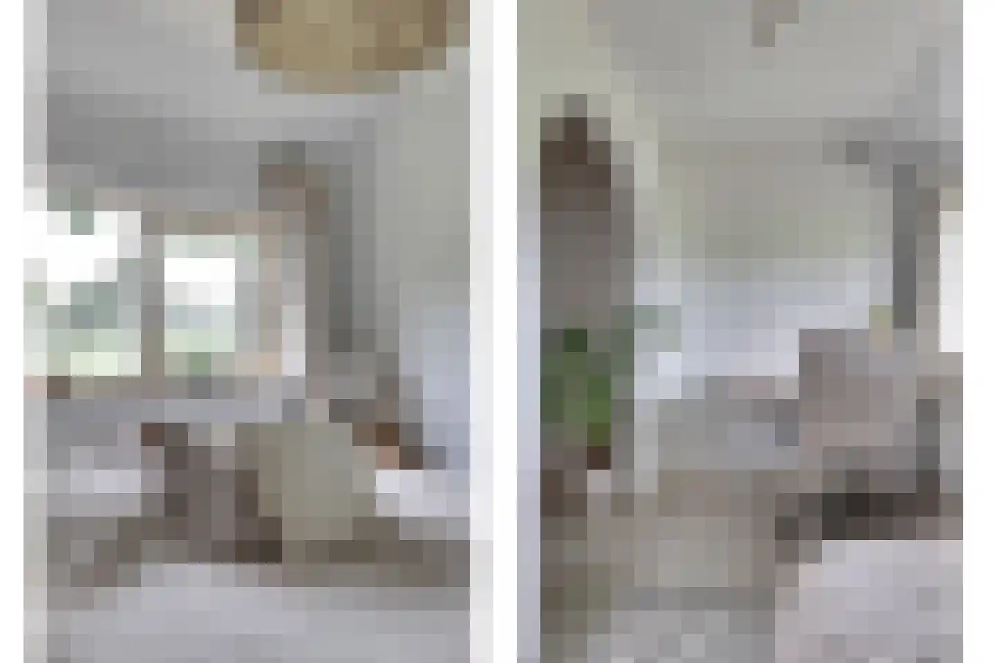 1e Pallertweg 4 Bourtange thumbnail 28