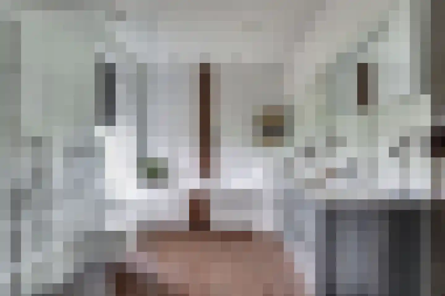 1e Pallertweg 4 Bourtange thumbnail 29