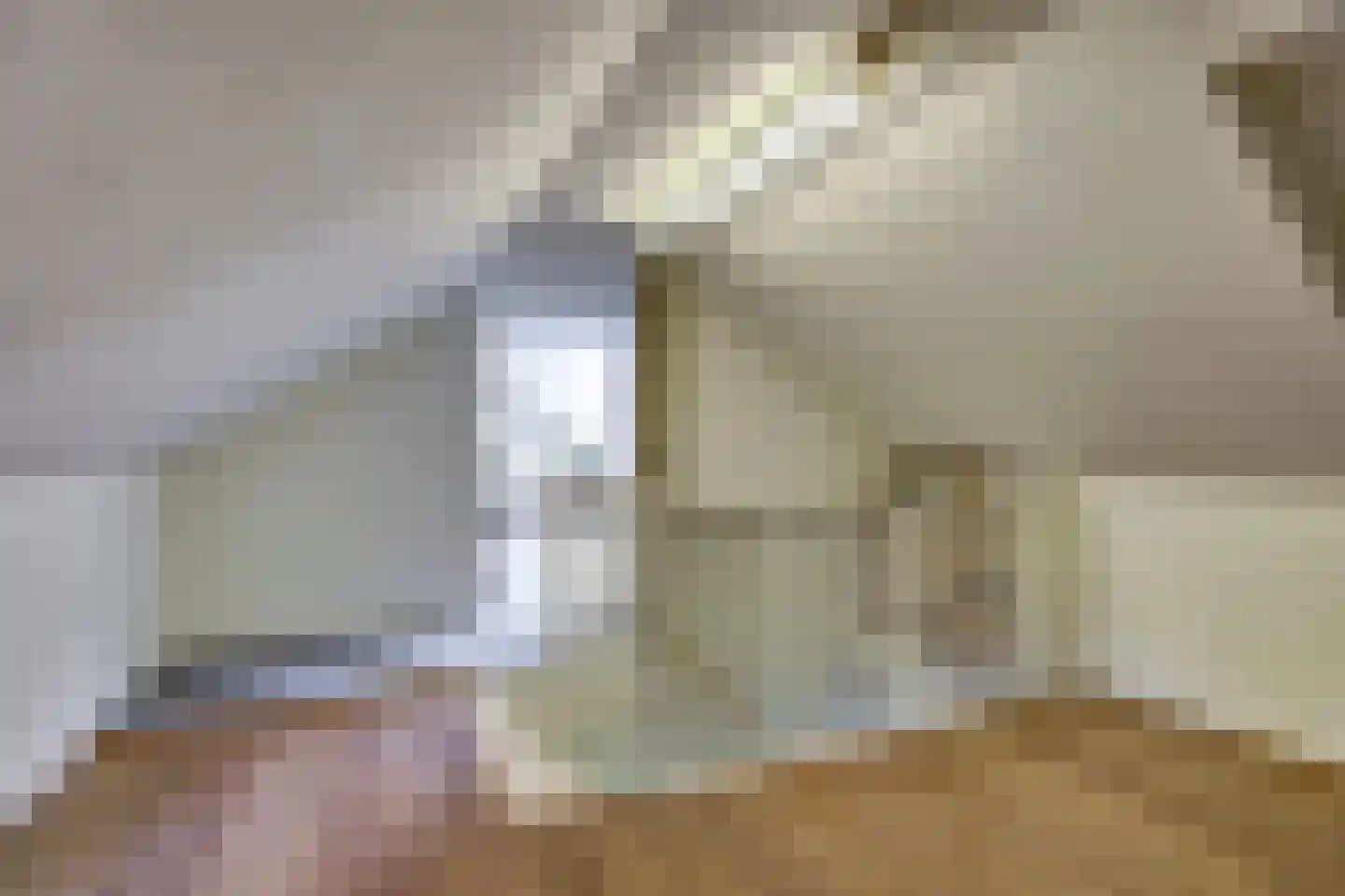 1e Pallertweg 4 Bourtange thumbnail 32