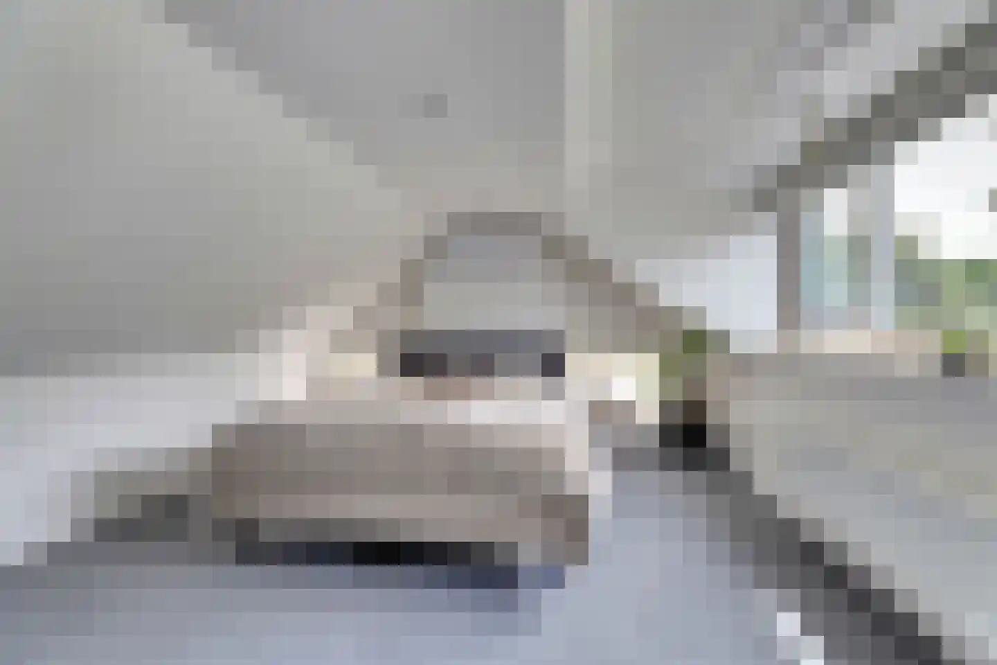 1e Pallertweg 4 Bourtange thumbnail 33