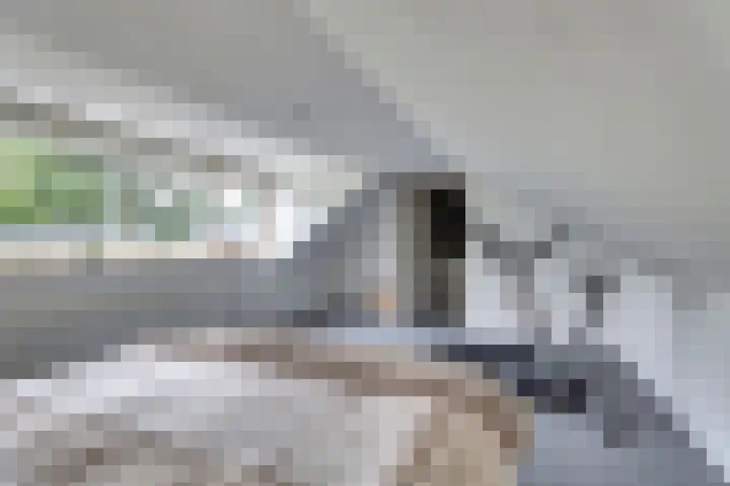 1e Pallertweg 4 Bourtange thumbnail 34