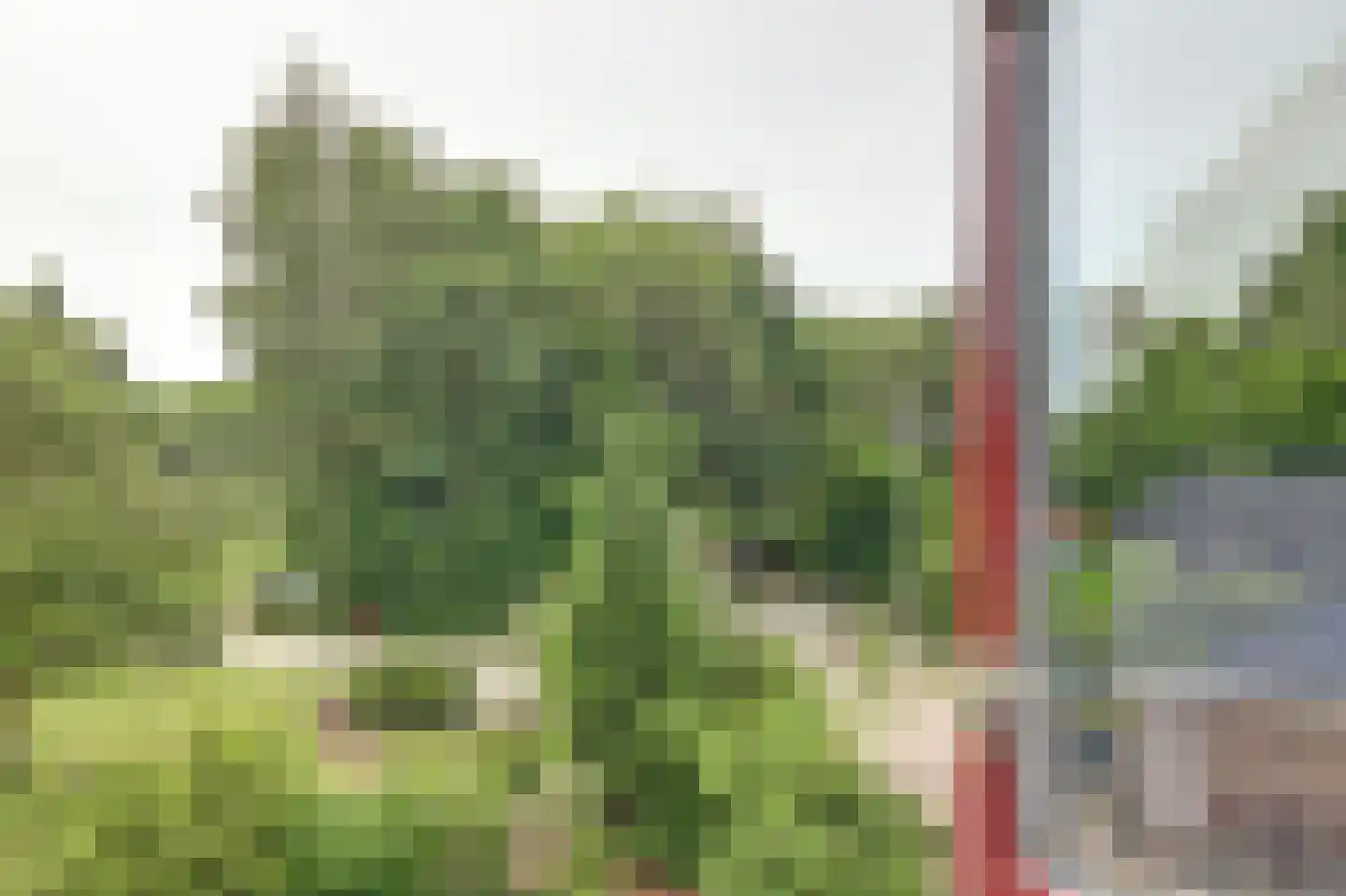 1e Pallertweg 4 Bourtange thumbnail 35