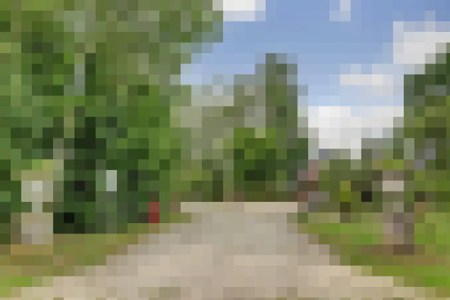 1e Pallertweg 4 Bourtange thumbnail 4