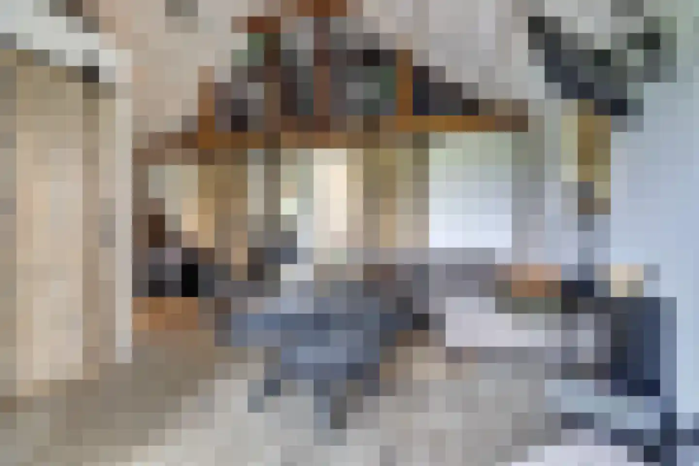 1e Pallertweg 4 Bourtange thumbnail 40