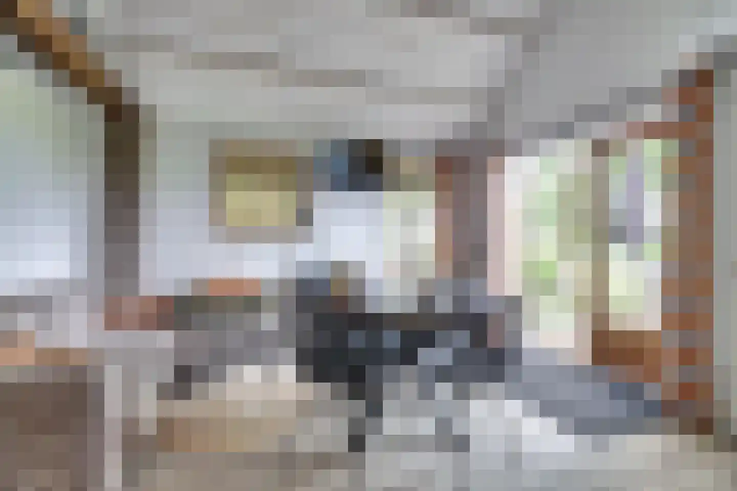 1e Pallertweg 4 Bourtange thumbnail 41