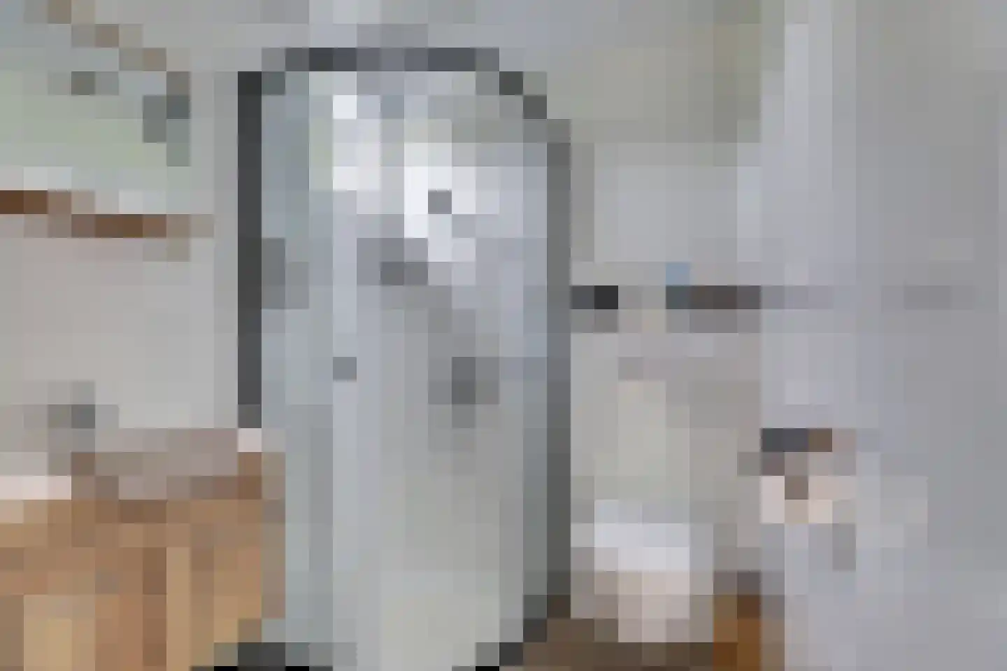 1e Pallertweg 4 Bourtange thumbnail 43