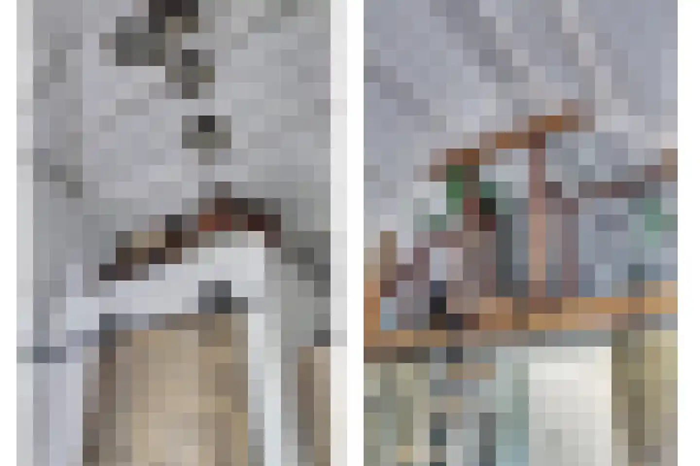 1e Pallertweg 4 Bourtange thumbnail 45