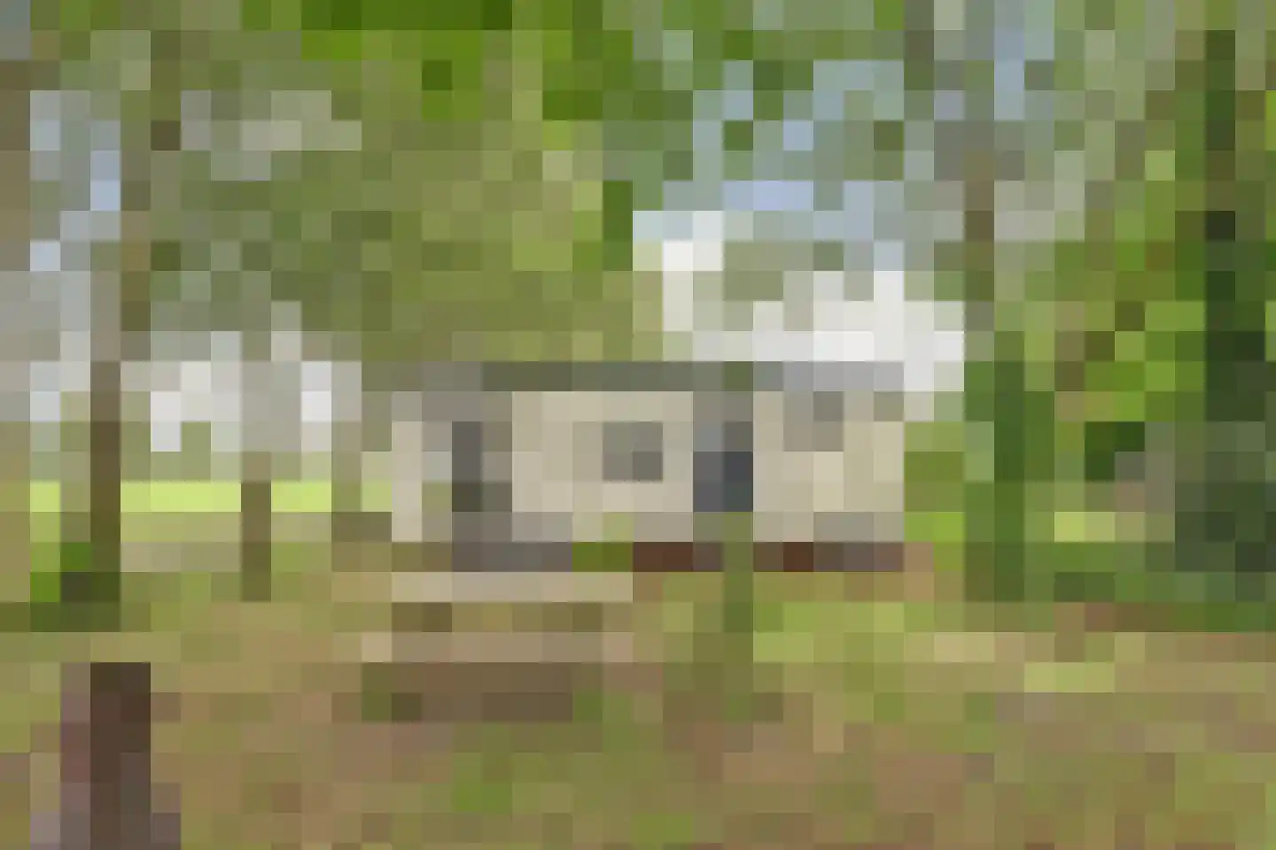 1e Pallertweg 4 Bourtange thumbnail 48