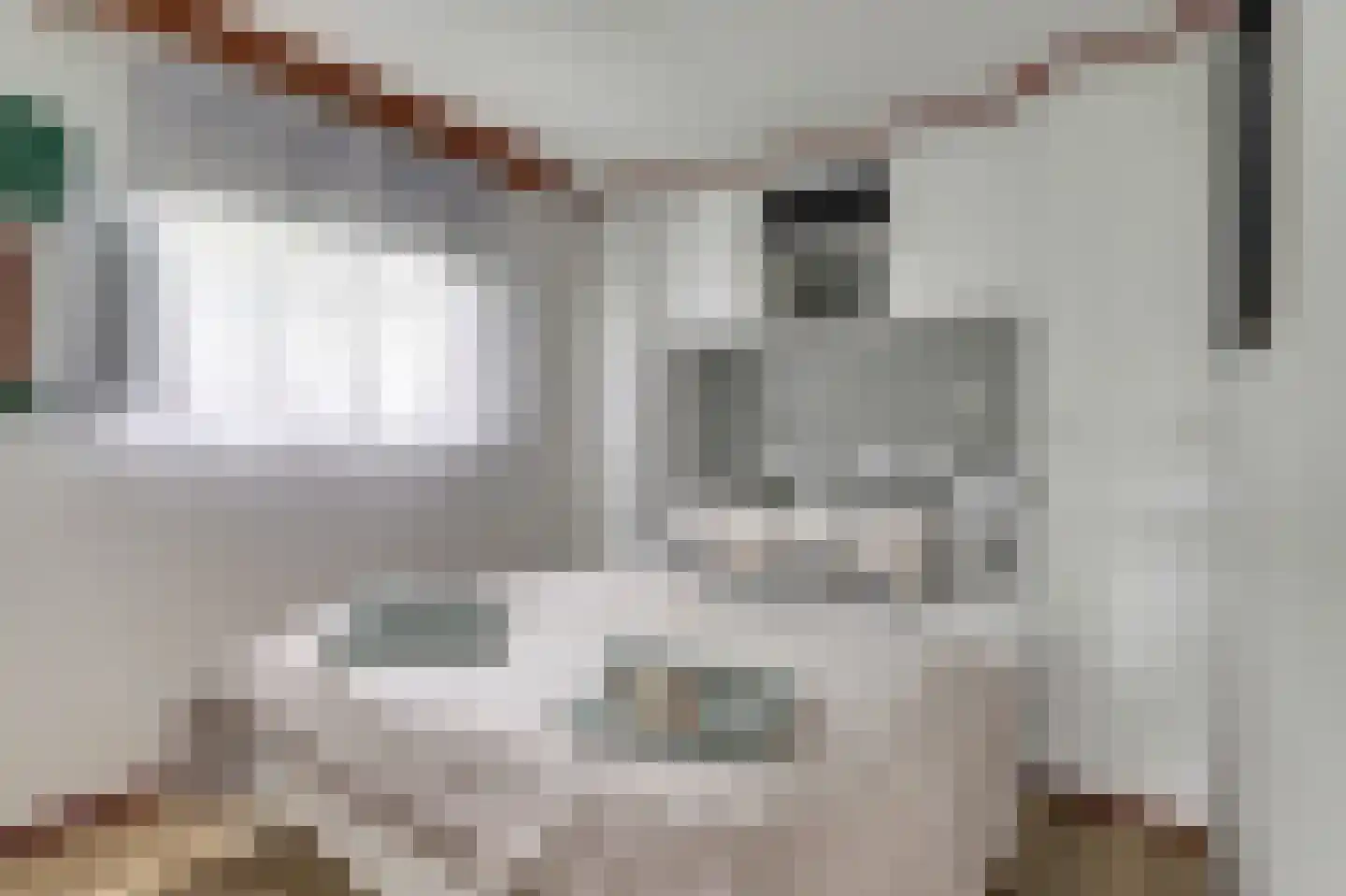 1e Pallertweg 4 Bourtange thumbnail 52