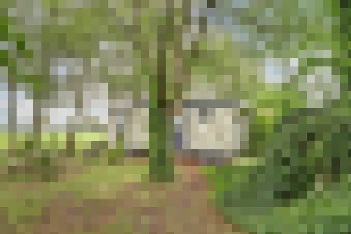 1e Pallertweg 4 Bourtange thumbnail 54
