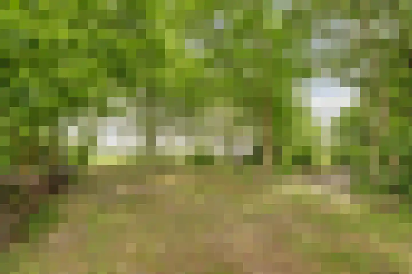 1e Pallertweg 4 Bourtange thumbnail 55
