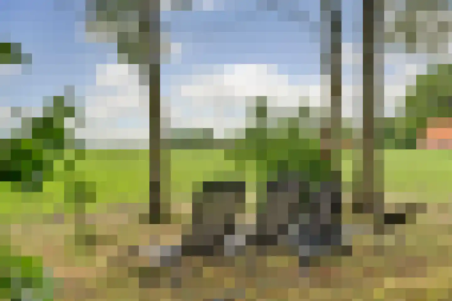 1e Pallertweg 4 Bourtange thumbnail 56