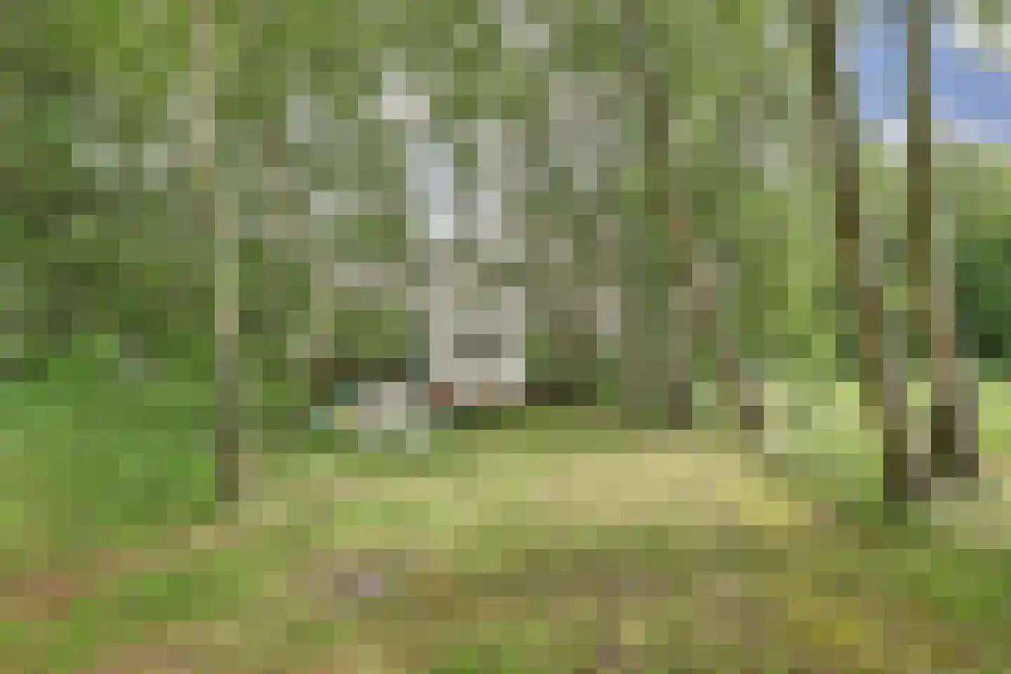 1e Pallertweg 4 Bourtange thumbnail 57