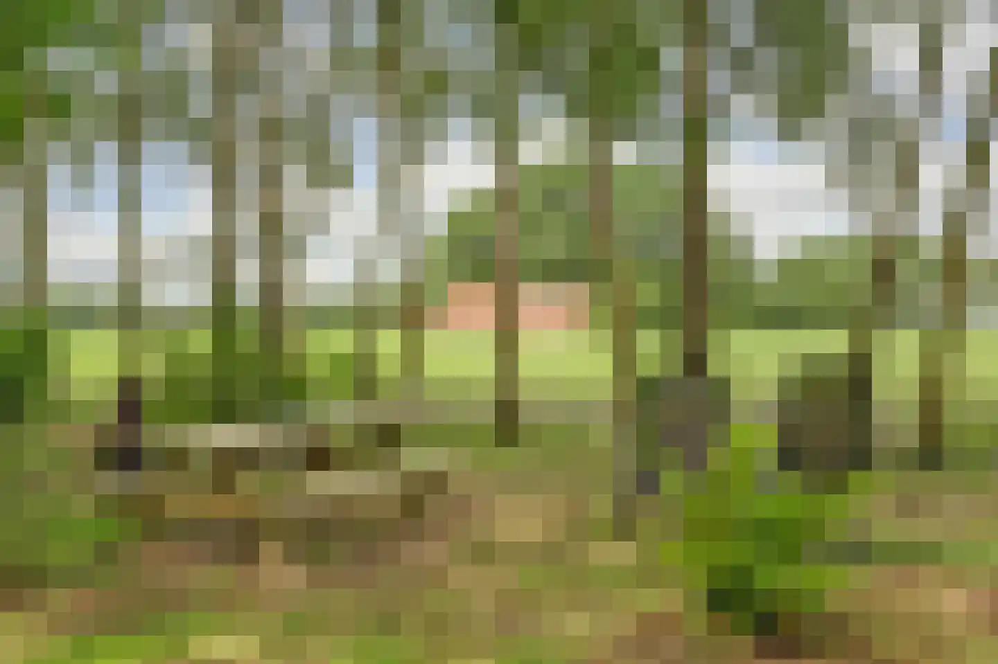 1e Pallertweg 4 Bourtange thumbnail 58