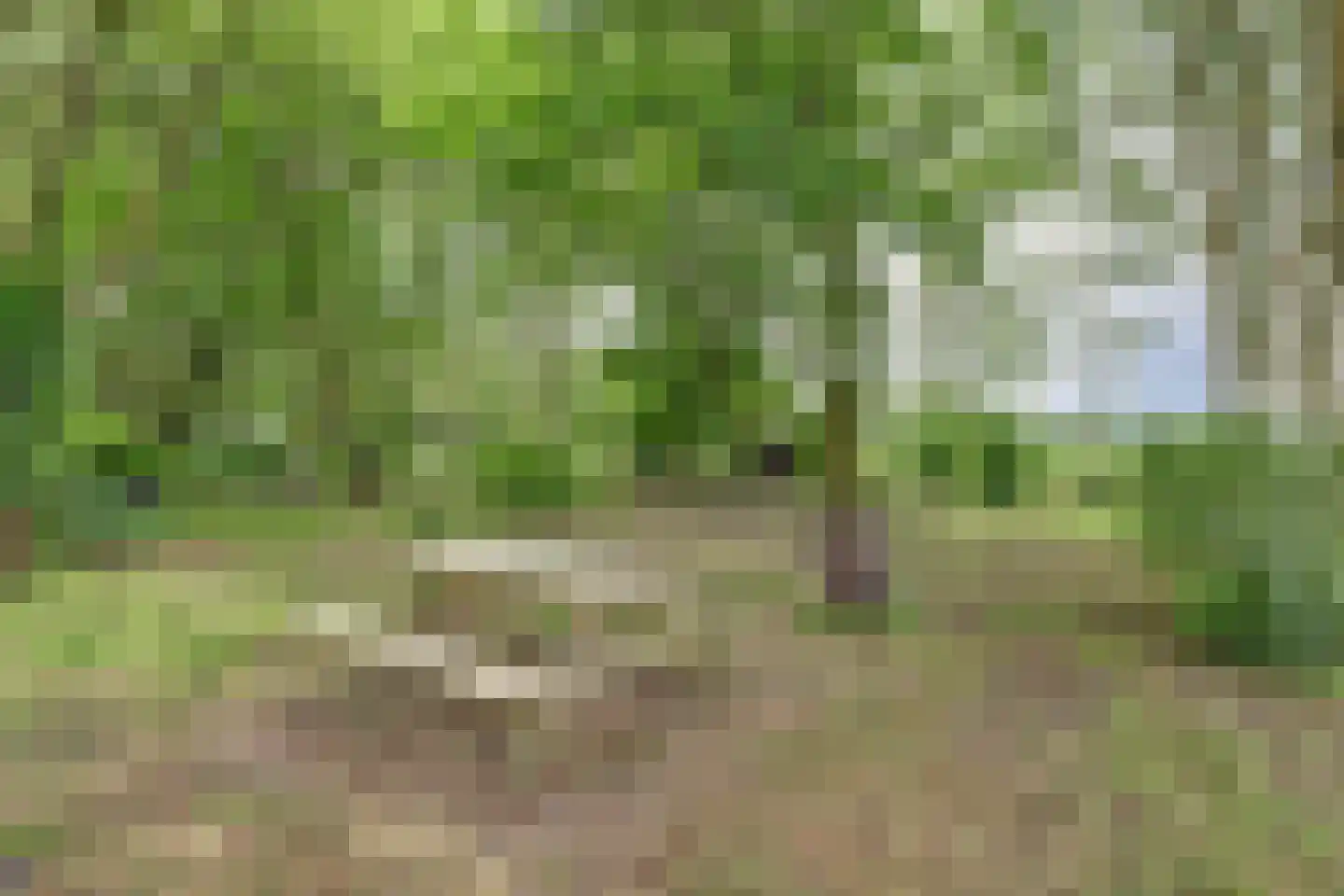 1e Pallertweg 4 Bourtange thumbnail 59